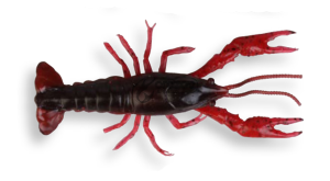 Силикон SG LB 3D Crayfish