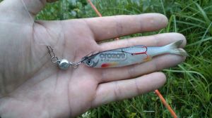 SOFT LURES SAVAGE GEAR 3D BLEAK REAL TAIL 10.5cm