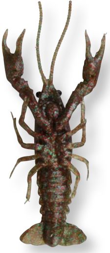 SG LB 3D Crayfish