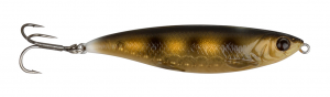 Brown Goby